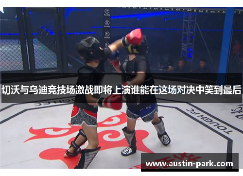 切沃与乌迪竞技场激战即将上演谁能在这场对决中笑到最后