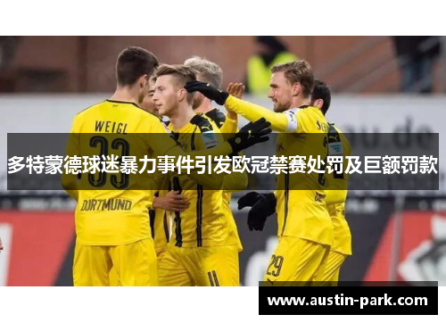 多特蒙德球迷暴力事件引发欧冠禁赛处罚及巨额罚款